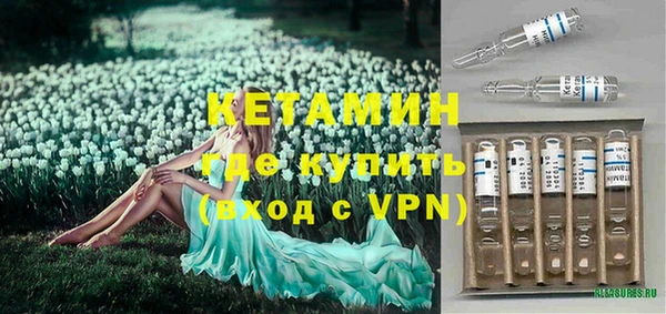 гашик Щигры