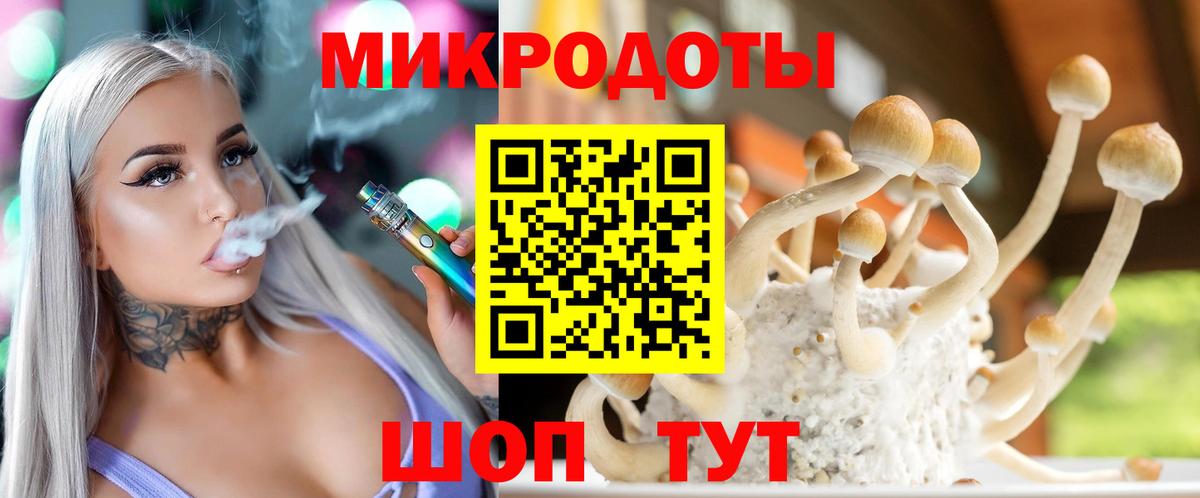 Бийск  Галлюциногенные грибы Cubensis  Вход с VPN 